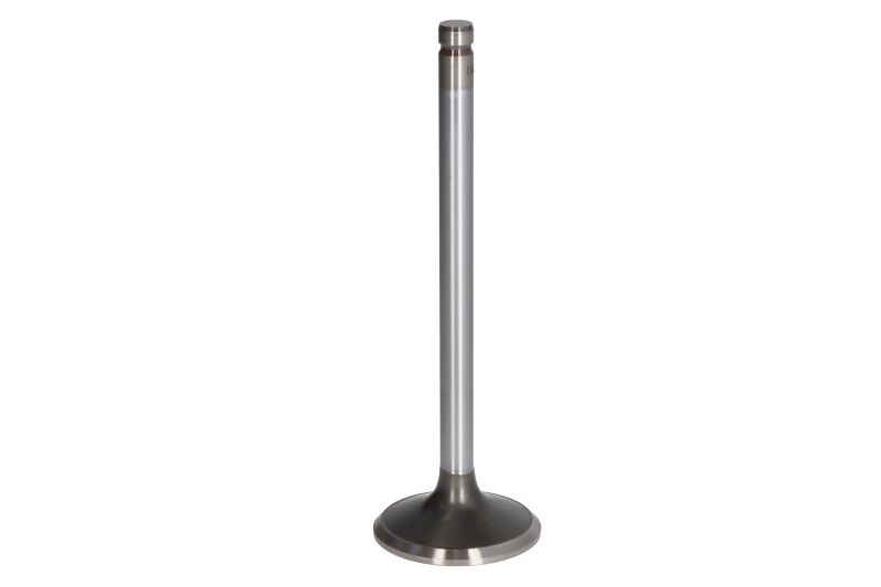 Supapă evacuare 124,8 mm 40,3 mm set 8 bucăți