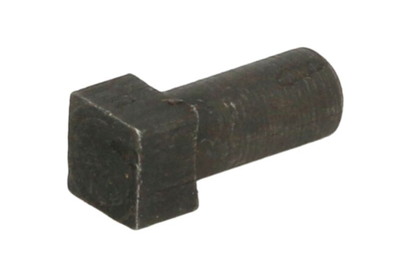 Bolturi