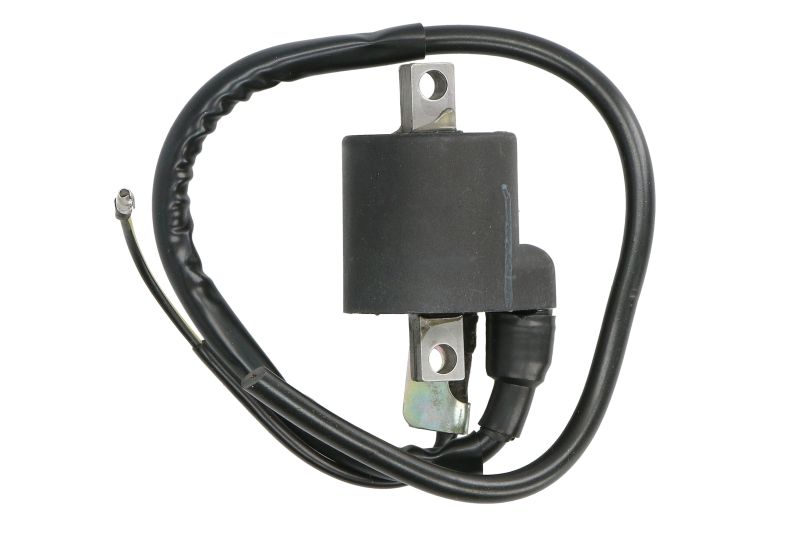 Bobina de inductie negru