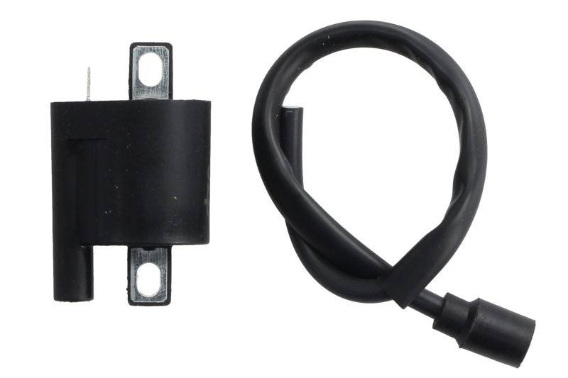 Bobina de inductie 12V