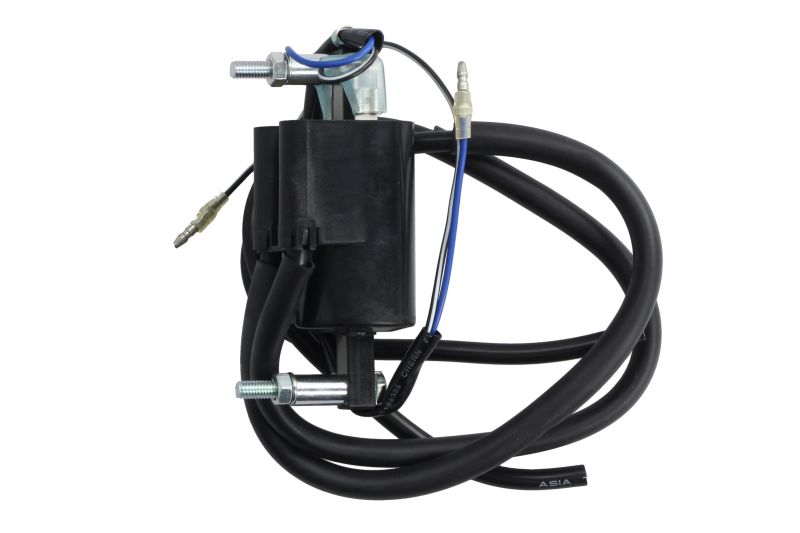 Bobina de inductie 12V negru