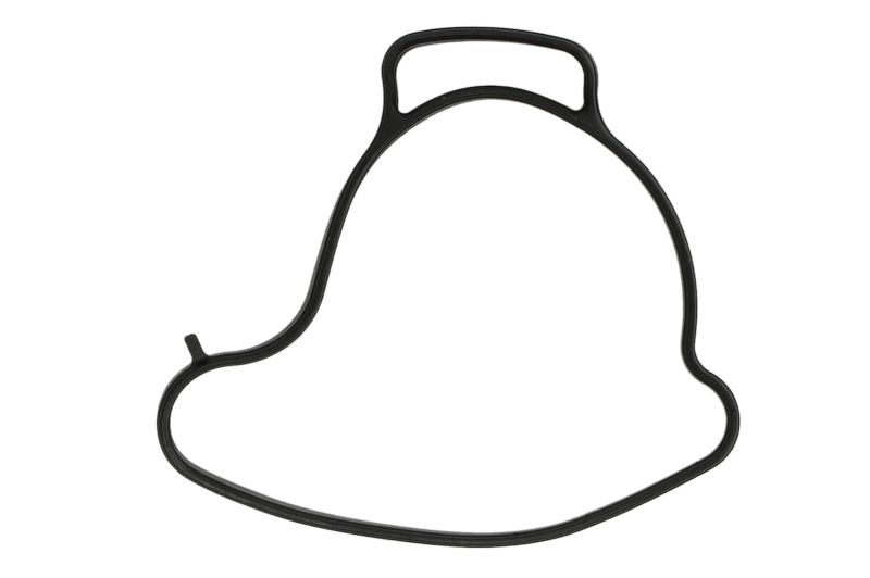 Garnitura pompa de apa