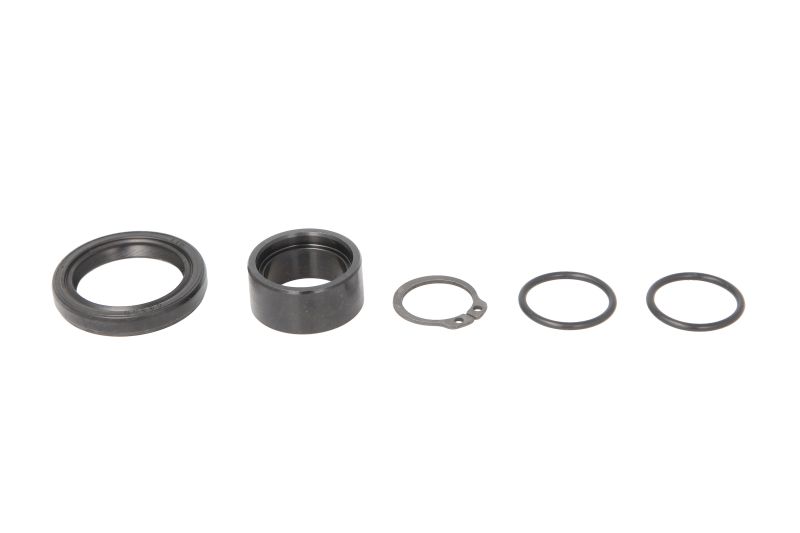 Garnitura pinion arbore fata