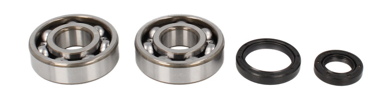 Set reparare de arbore cotit
