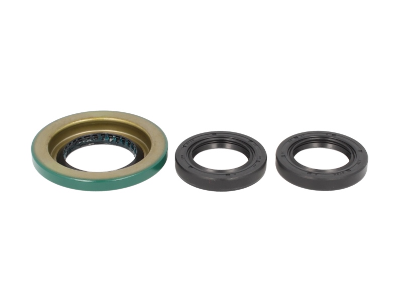 Set reparatie diferential spate