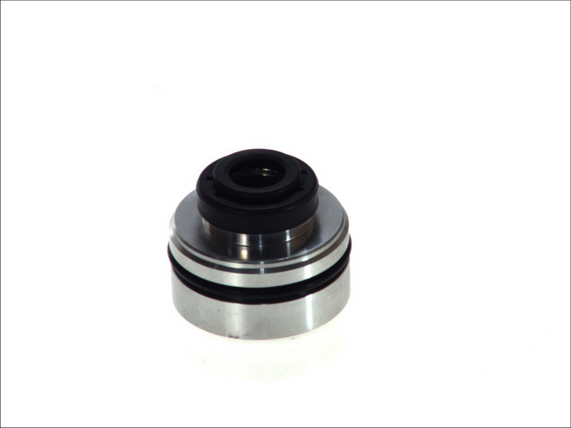 Set reparatie amortizor spate