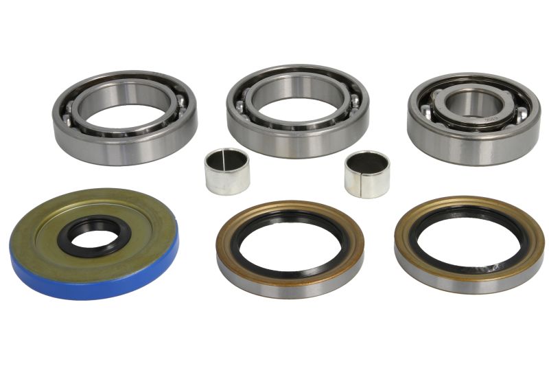 Set reparatie diferential spate