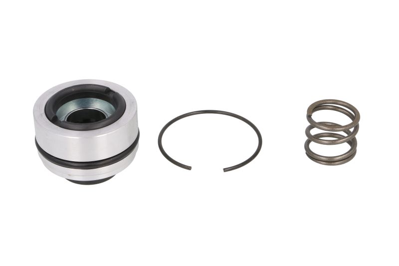 Set reparatie amortizor spate