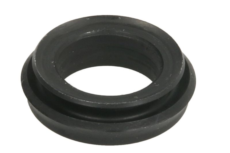 Set reparatie, pompa centrala frana
