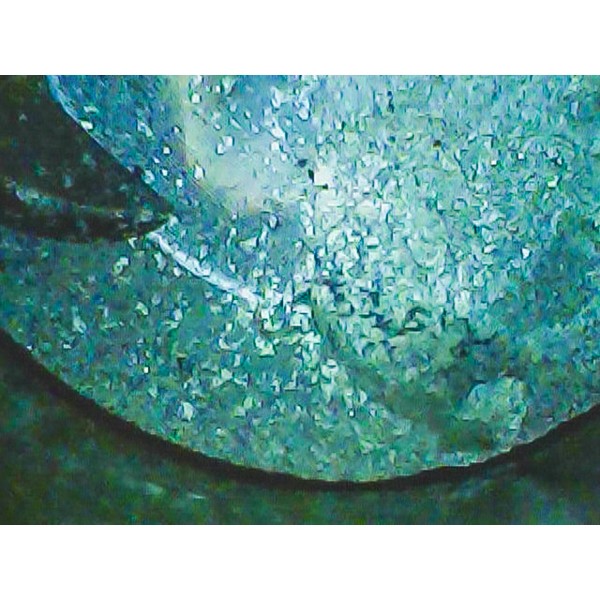 Video endoscop