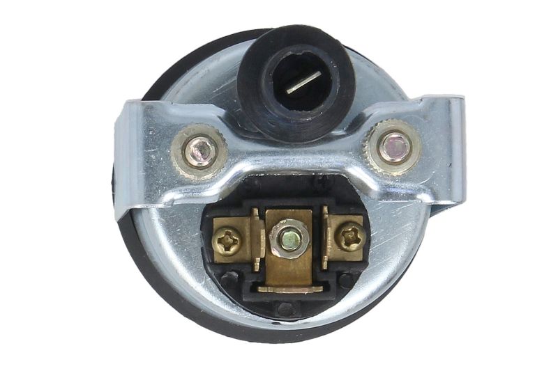 Indicator combustibil