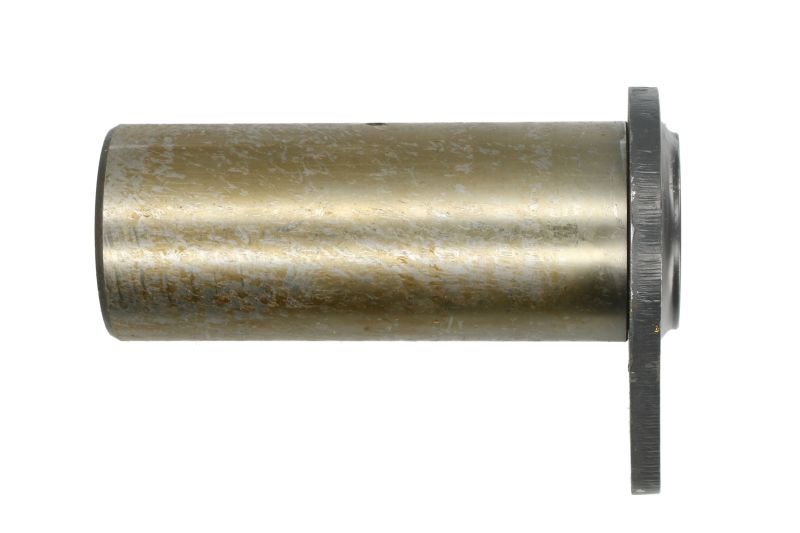 Pin de cupă