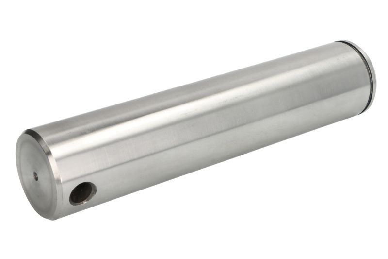 Pivotul bratului 251x55 mm