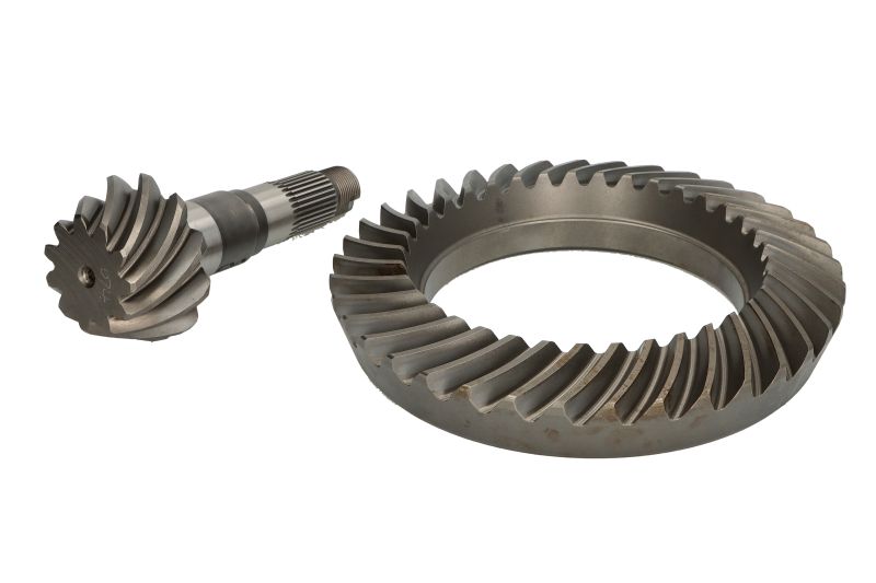 Taler -/ con pinion set