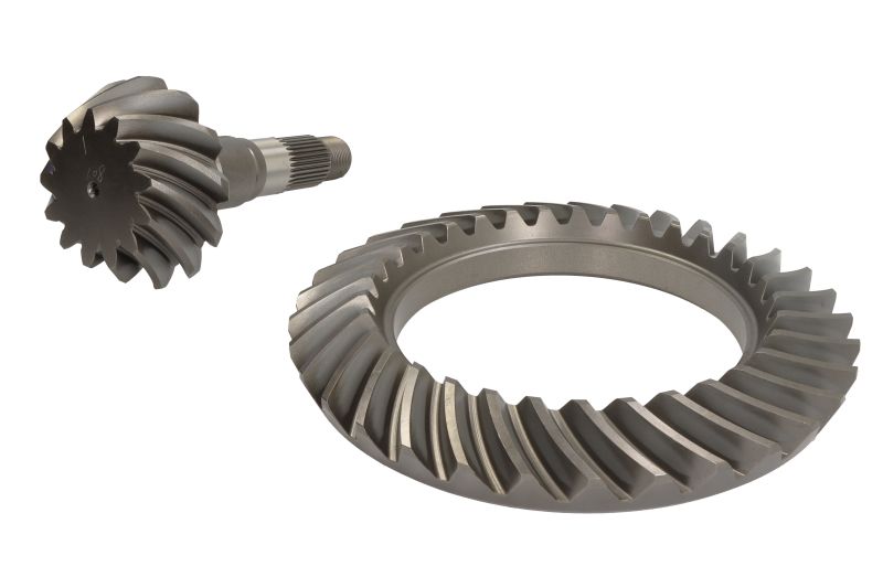 Taler -/ con pinion set