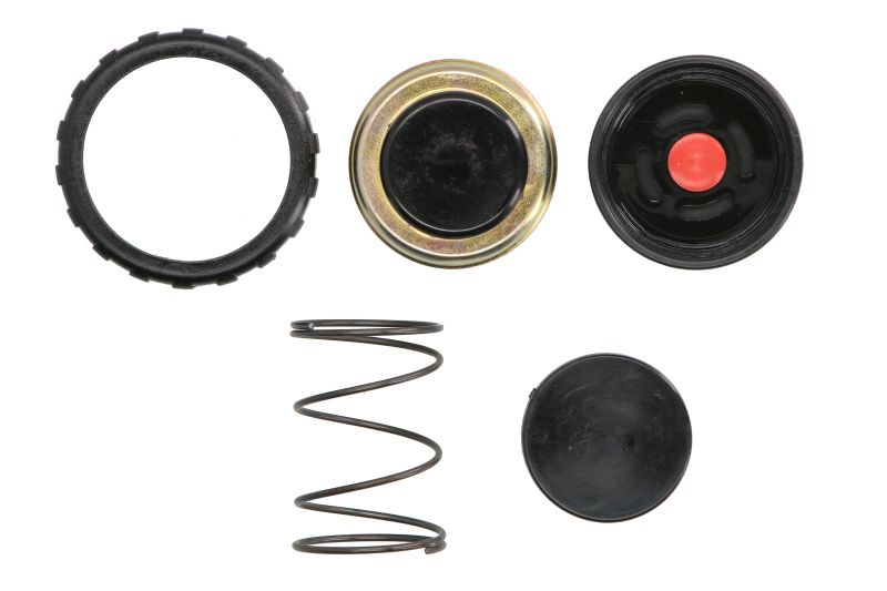 Set reparatie pompa combustibil