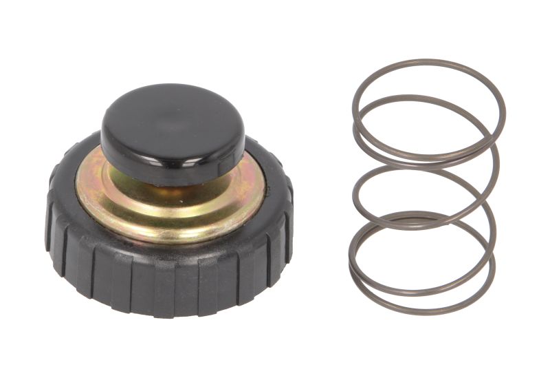 Set reparatie pompa combustibil