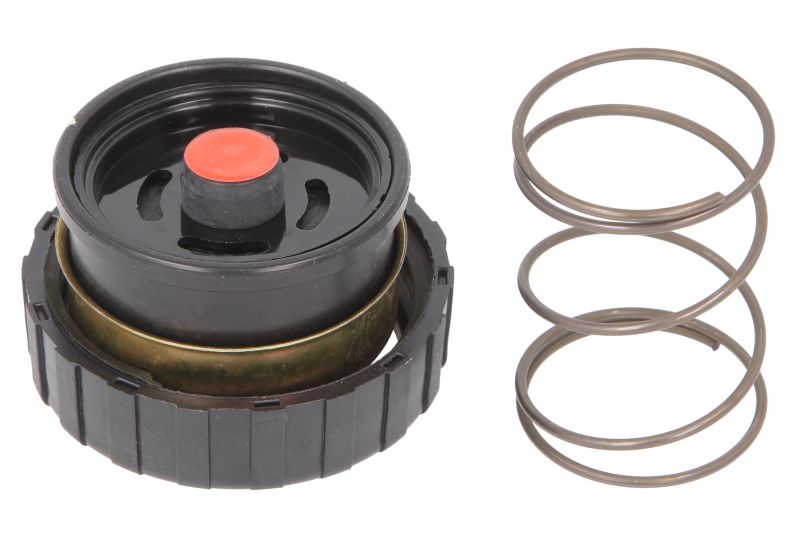 Set reparatie, pompa combustibil