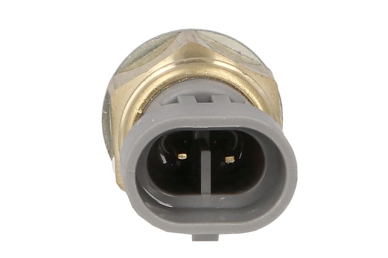 Senzor temperatura combustibil