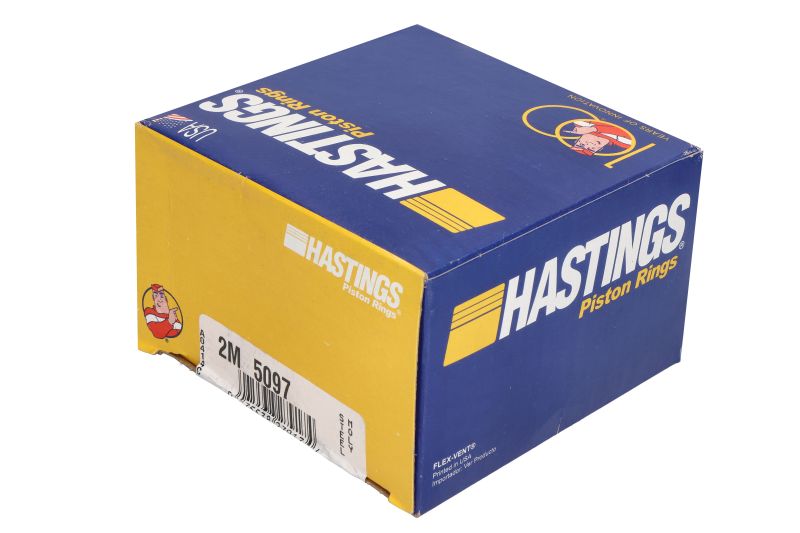 Set segmenti piston 99,5 mm