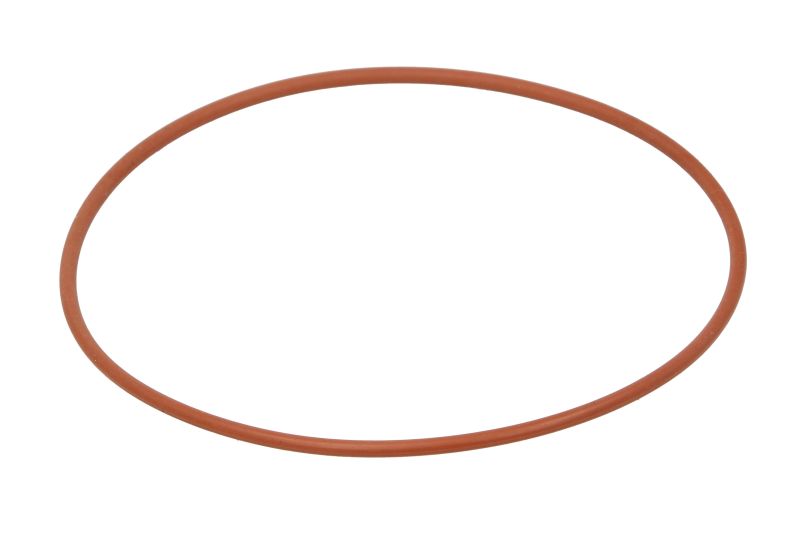 Garnitura carcasa termostat