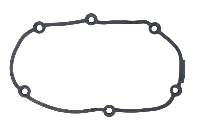Garnitura capac distributie 255x220x8,5 mm ACM