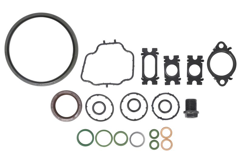 Set garnituri carter