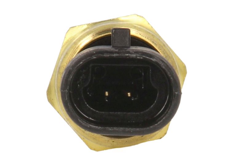 Senzor temperatura combustibil