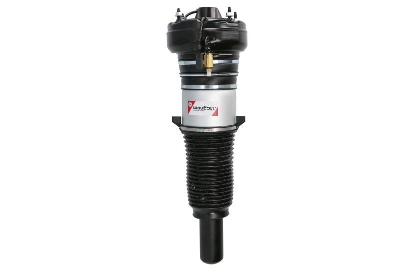 Brat arc pneumatic față stânga față dreapta set 2 bucăți știft inferior