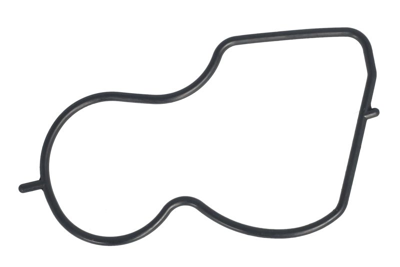 Garnitura pompa vacuum
