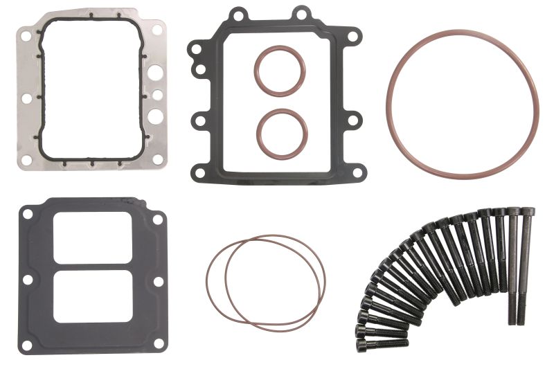 Garnitura radiatorului EGR