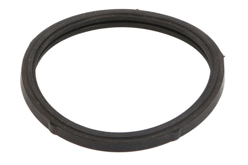 Garnitura carcasa termostat 58,84 mm grosime 4,68 mm