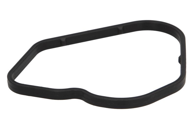 Garnitura pompa de apa