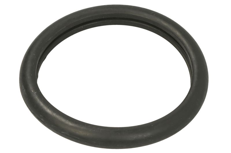 Garnitura termostat 45x56x6 mm