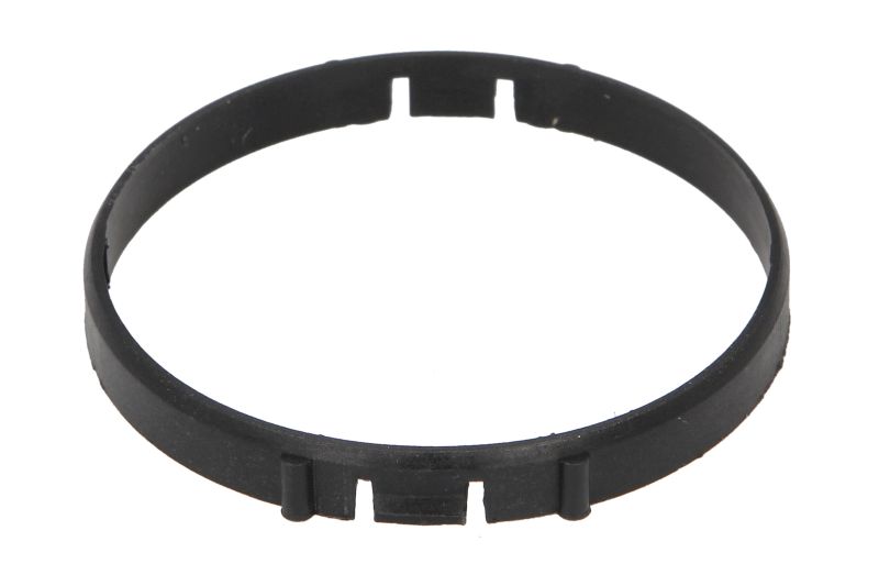 Garnitura termostat