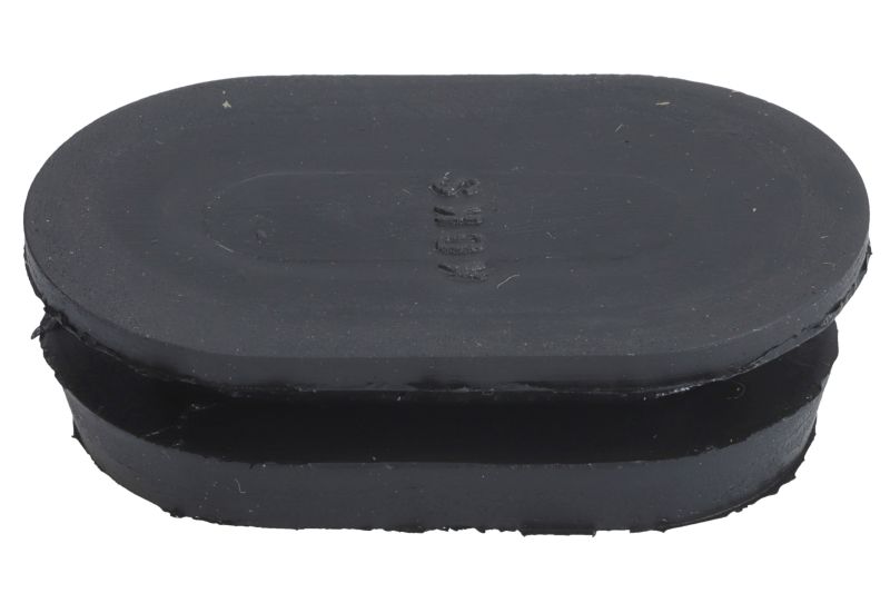 Scut motor spate