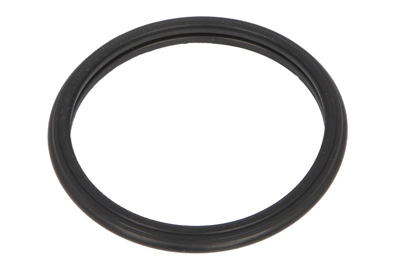 Garnitura carcasa termostat EPDM