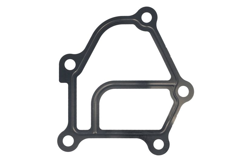 Garnitura carcasa termostat