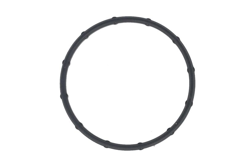 Garnitura carcasa termostat 57,5x50,5x5,1 mm