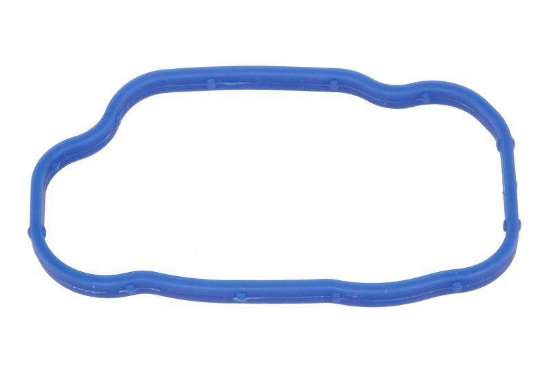 Garnitura carcasa termostat