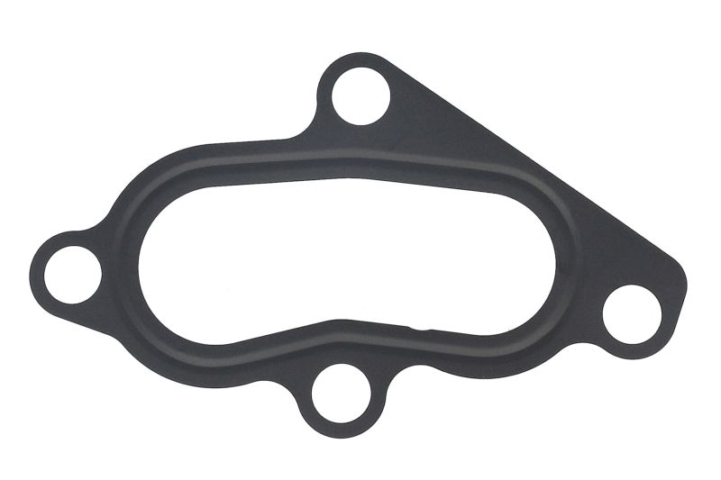 Garnitura carcasa termostat