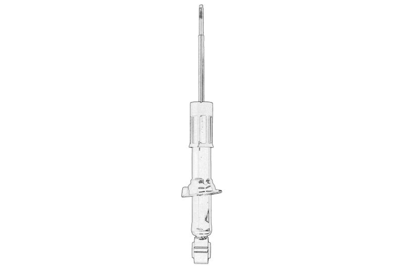 Amortizor spate