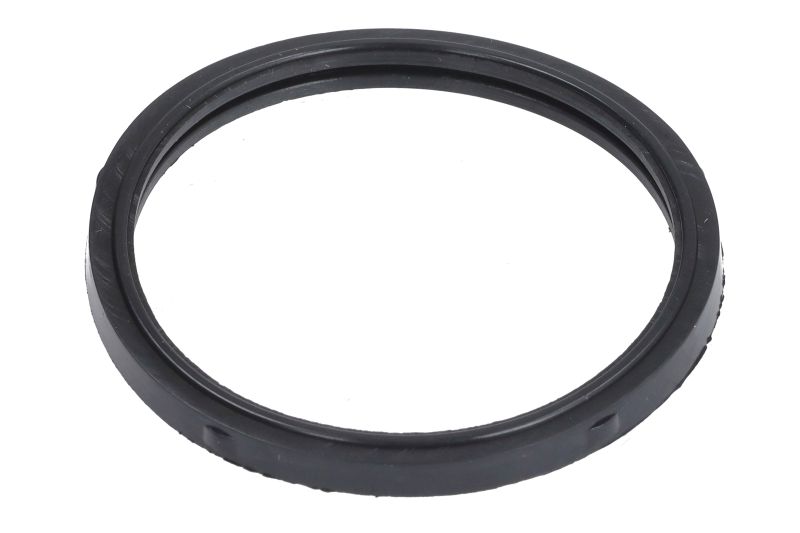 Garnitura termostat