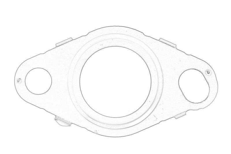 Garnitura valvei EGR originala