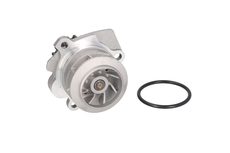 Pompa de apa, (en) with a gasket