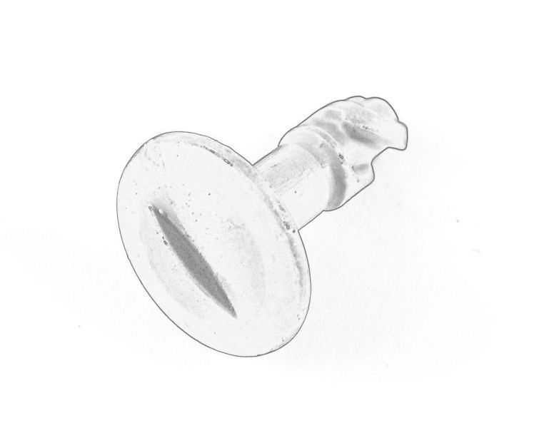 Pinul de tapiterie (pentru montarea pazei motorului) original