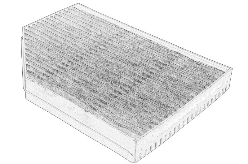 Filtru habitaclu cu carbon activat original 