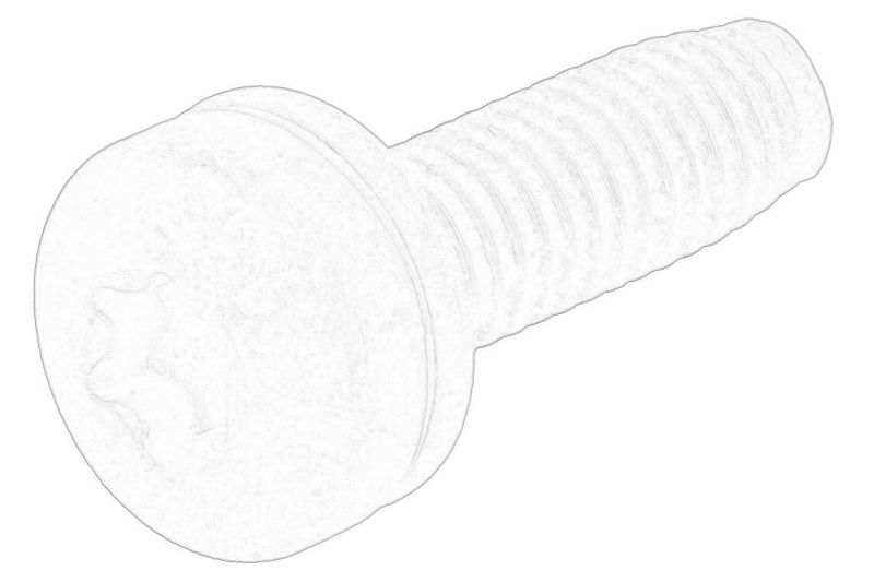 (EN) oil filter housing bolt original