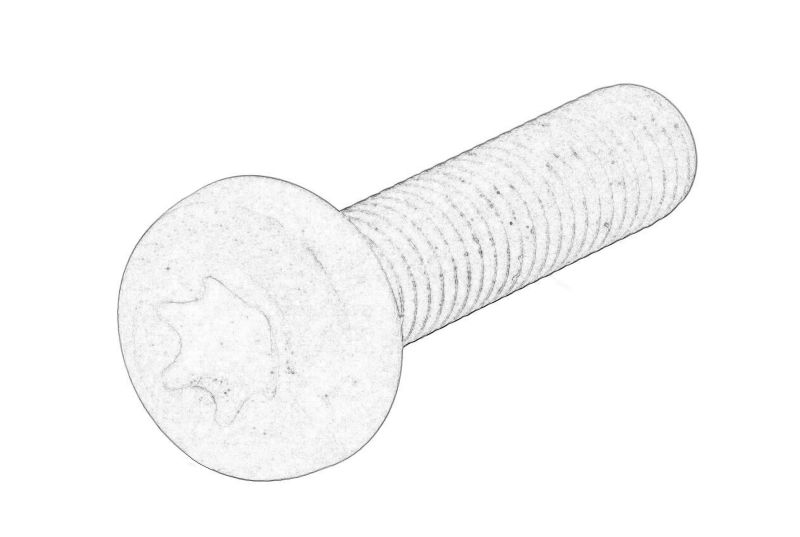 Elementul pompei de ulei ((en) oil pump sprocket bolt) original