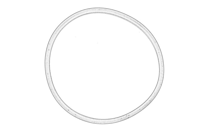 Element de supapa de aer (garnitura de acceleratie) original